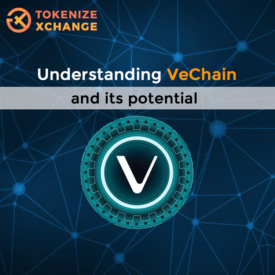 Understanding Vechain and its potential in the future