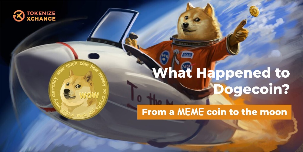 What happened to Dogecoin? From a meme coin to the moon